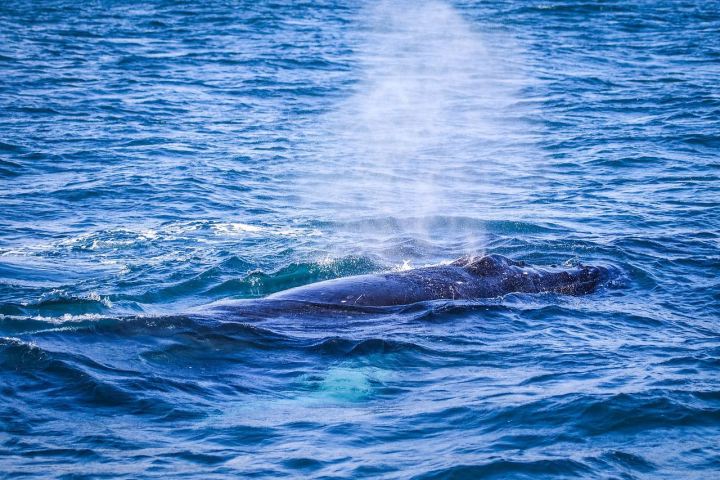 a man riding a wave on a surfboard in the water