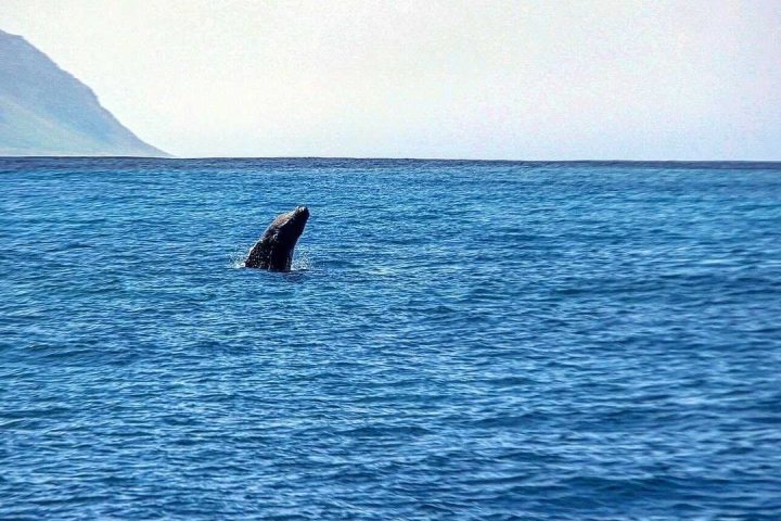 a large body of water