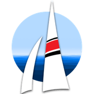 a close up of a kite